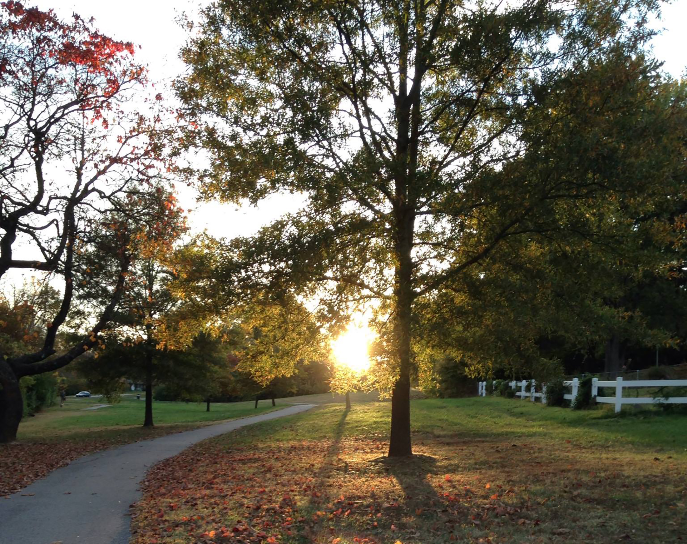 Sunday in the Park
